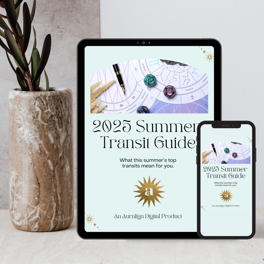 Summer 2025 Transit Guide