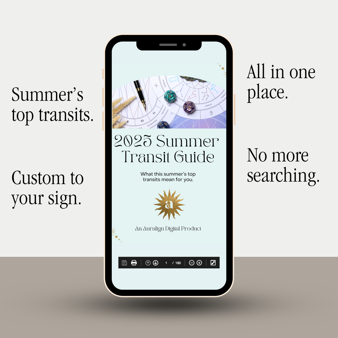Summer 2025 Transit Guide