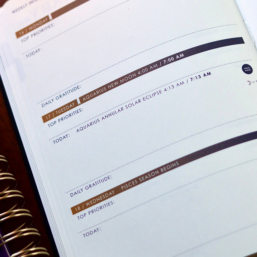 2027 ASTROLOGY PLANNER - Auralign